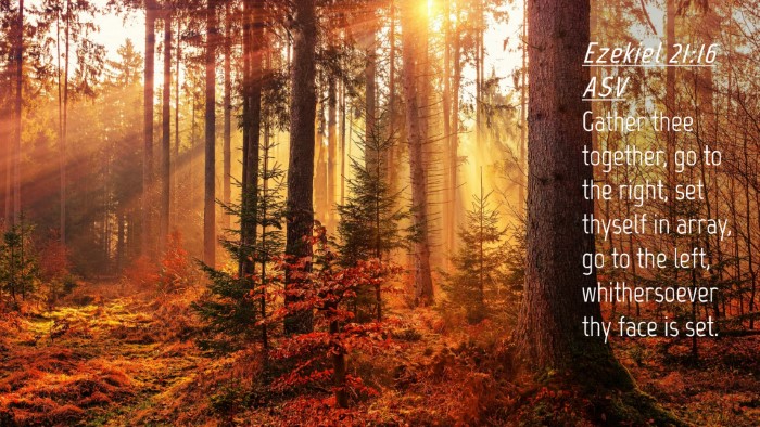 Picture 04 - Ezekiel 21:16 ASV Desktop Wallpaper - Gather thee together, go to the right, set - Desktop Bible Verse Wallpaper
