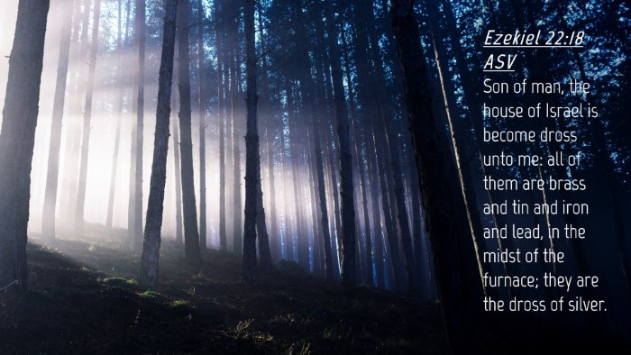 Picture 04 - Ezekiel 22:18 ASV Desktop Wallpaper - Son of man, the house of Israel is become dross - Desktop Bible Verse Wallpaper