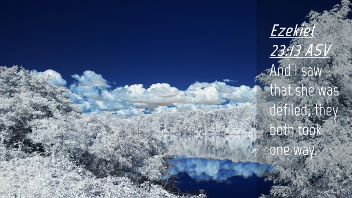 Picture 04 - Ezekiel 23:13 ASV Desktop Wallpaper - And I saw that she was defiled; they both took - Desktop Bible Verse Wallpaper