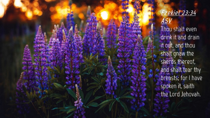 Picture 04 - Ezekiel 23:34 ASV Desktop Wallpaper - Thou shalt even drink it and drain it out, and - Desktop Bible Verse Wallpaper
