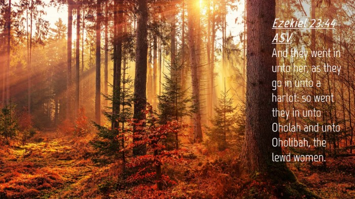 Picture 04 - Ezekiel 23:44 ASV Desktop Wallpaper - And they went in unto her, as they go in unto a - Desktop Bible Verse Wallpaper