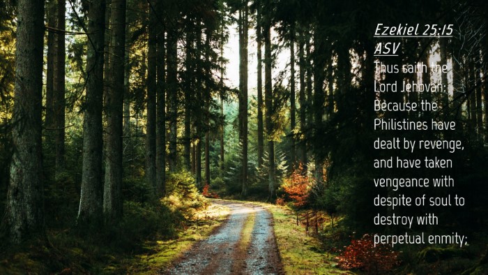 Picture 04 - Ezekiel 25:15 ASV Desktop Wallpaper - Thus saith the Lord Jehovah: Because the - Desktop Bible Verse Wallpaper