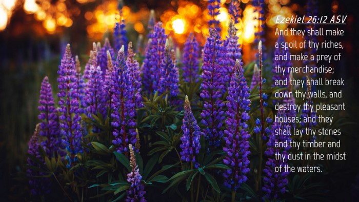 Picture 04 - Ezekiel 26:12 ASV Desktop Wallpaper - And they shall make a spoil of thy riches, and - Desktop Bible Verse Wallpaper