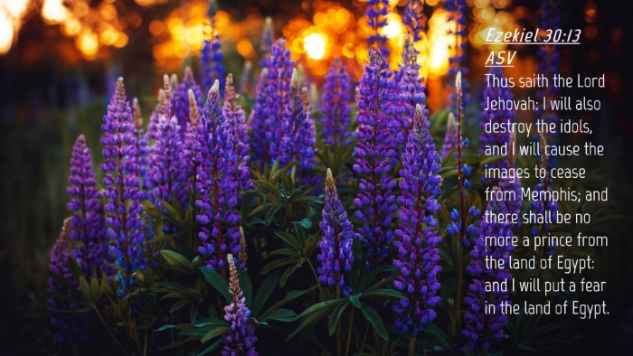 Picture 04 - Ezekiel 30:13 ASV Desktop Wallpaper - Thus saith the Lord Jehovah: I will also destroy - Desktop Bible Verse Wallpaper