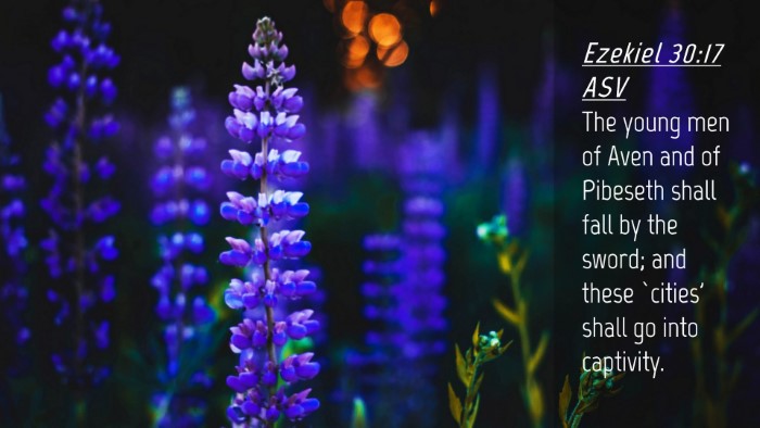 Picture 04 - Ezekiel 30:17 ASV Desktop Wallpaper - The young men of Aven and of Pibeseth shall fall - Desktop Bible Verse Wallpaper