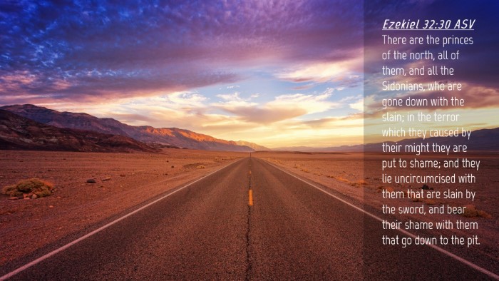 Picture 04 - Ezekiel 32:30 ASV Desktop Wallpaper - There are the princes of the north, all of them, - Desktop Bible Verse Wallpaper