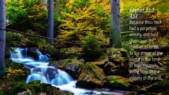 Picture 04 - Ezekiel 35:5 ASV Desktop Wallpaper - Because thou hast had a perpetual enmity, and - Desktop Bible Verse Wallpaper