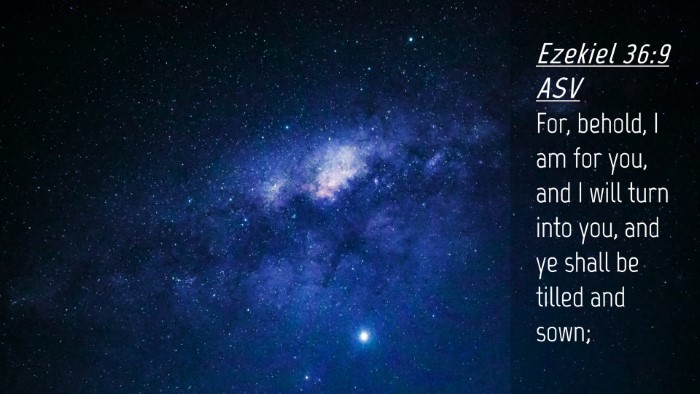 Picture 04 - Ezekiel 36:9 ASV Desktop Wallpaper - For, behold, I am for you, and I will turn into - Desktop Bible Verse Wallpaper