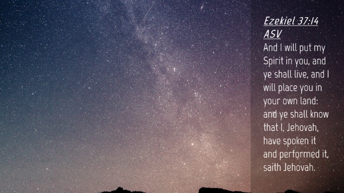 Picture 04 - Ezekiel 37:14 ASV Desktop Wallpaper - And I will put my Spirit in you, and ye shall - Desktop Bible Verse Wallpaper