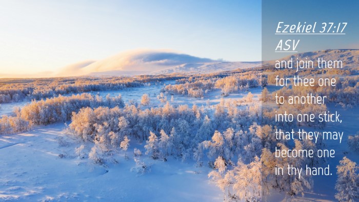 Picture 04 - Ezekiel 37:17 ASV Desktop Wallpaper - and join them for thee one to another into one - Desktop Bible Verse Wallpaper
