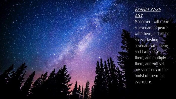 Picture 04 - Ezekiel 37:26 ASV Desktop Wallpaper - Moreover I will make a covenant of peace with - Desktop Bible Verse Wallpaper