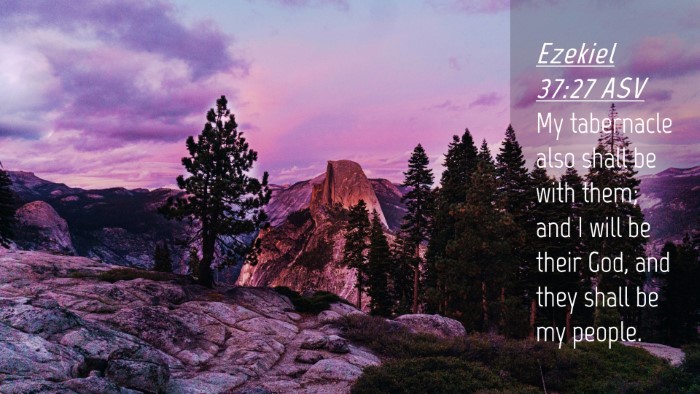 Picture 04 - Ezekiel 37:27 ASV Desktop Wallpaper - My tabernacle also shall be with them; and I will - Desktop Bible Verse Wallpaper
