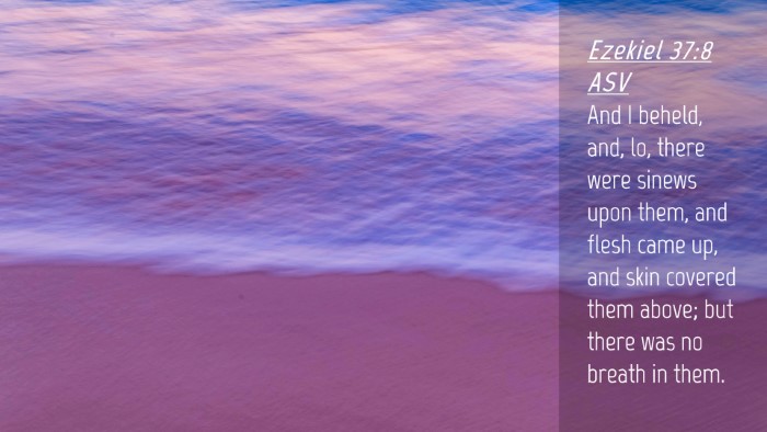 Picture 04 - Ezekiel 37:8 ASV Desktop Wallpaper - And I beheld, and, lo, there were sinews upon - Desktop Bible Verse Wallpaper
