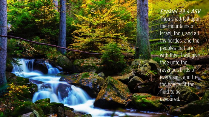 Picture 04 - Ezekiel 39:4 ASV Desktop Wallpaper - Thou shalt fall upon the mountains of Israel, - Desktop Bible Verse Wallpaper