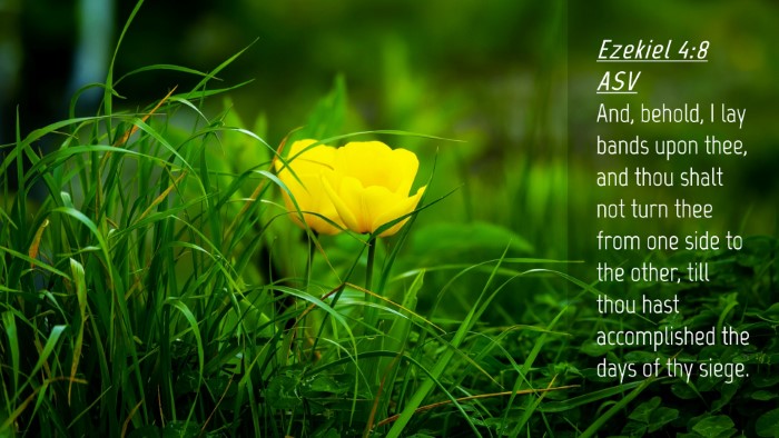 Picture 04 - Ezekiel 4:8 ASV Desktop Wallpaper - And, behold, I lay bands upon thee, and thou - Desktop Bible Verse Wallpaper