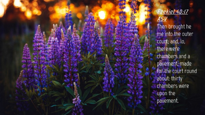 Picture 04 - Ezekiel 40:17 ASV Desktop Wallpaper - Then brought he me into the outer court; and, lo, - Desktop Bible Verse Wallpaper