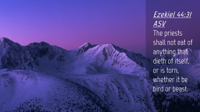 Picture 04 - Ezekiel 44:31 ASV Desktop Wallpaper - The priests shall not eat of anything that dieth - Desktop Bible Verse Wallpaper