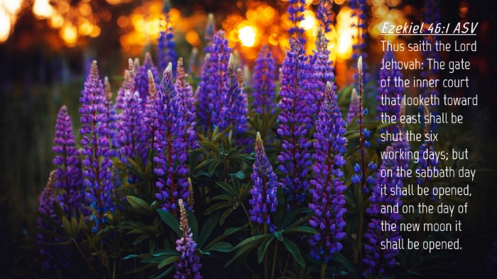 Picture 04 - Ezekiel 46:1 ASV Desktop Wallpaper - Thus saith the Lord Jehovah: The gate of the - Desktop Bible Verse Wallpaper