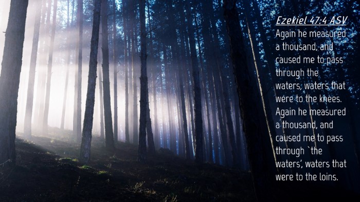 Picture 04 - Ezekiel 47:4 ASV Desktop Wallpaper - Again he measured a thousand, and caused me to - Desktop Bible Verse Wallpaper