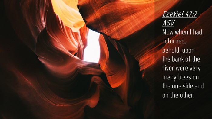 Picture 04 - Ezekiel 47:7 ASV Desktop Wallpaper - Now when I had returned, behold, upon the bank of - Desktop Bible Verse Wallpaper