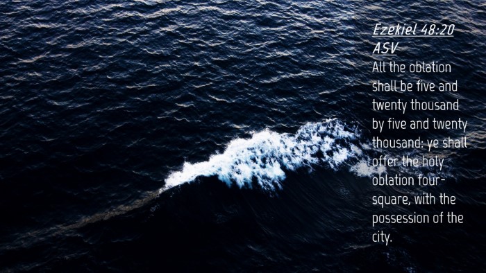Picture 04 - Ezekiel 48:20 ASV Desktop Wallpaper - All the oblation shall be five and twenty - Desktop Bible Verse Wallpaper