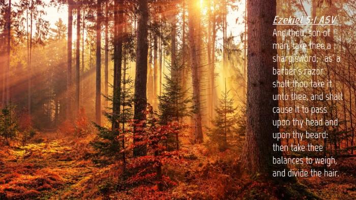Picture 04 - Ezekiel 5:1 ASV Desktop Wallpaper - And thou, son of man, take thee a sharp sword; - Desktop Bible Verse Wallpaper