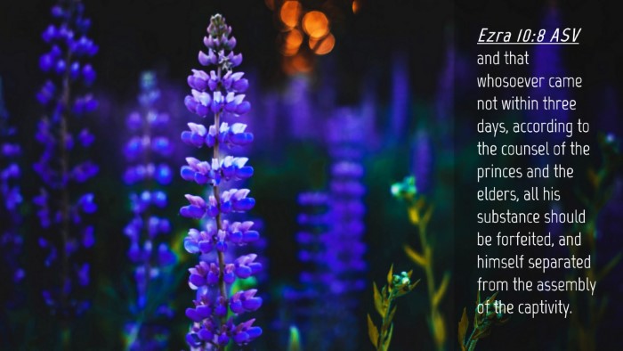 Picture 04 - Ezra 10:8 ASV Desktop Wallpaper - and that whosoever came not within three days, - Desktop Bible Verse Wallpaper