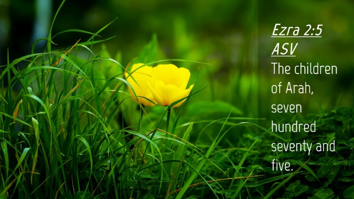 Picture 04 - Ezra 2:5 ASV Desktop Wallpaper - The children of Arah, seven hundred seventy and - Desktop Bible Verse Wallpaper