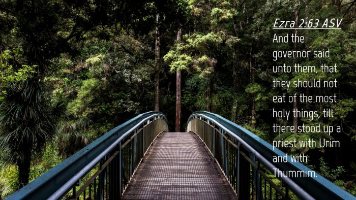 Picture 04 - Ezra 2:63 ASV Desktop Wallpaper - And the governor said unto them, that they should - Desktop Bible Verse Wallpaper