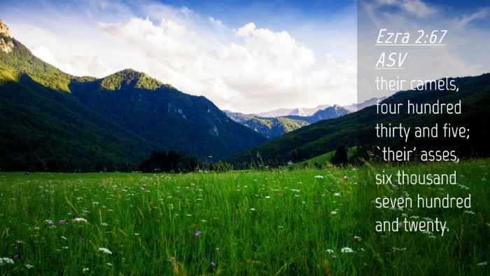Picture 04 - Ezra 2:67 ASV Desktop Wallpaper - their camels, four hundred thirty and five; - Desktop Bible Verse Wallpaper