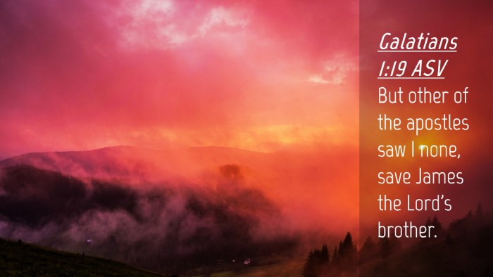 Picture 04 - Galatians 1:19 ASV Desktop Wallpaper - But other of the apostles saw I none, save James - Desktop Bible Verse Wallpaper