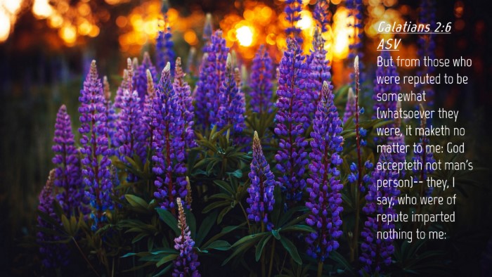 Picture 04 - Galatians 2:6 ASV Desktop Wallpaper - But from those who were reputed to be somewhat - Desktop Bible Verse Wallpaper