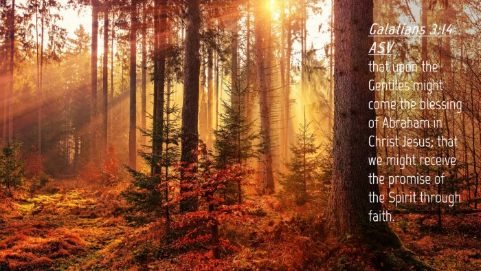 Picture 04 - Galatians 3:14 ASV Desktop Wallpaper - that upon the Gentiles might come the blessing of - Desktop Bible Verse Wallpaper