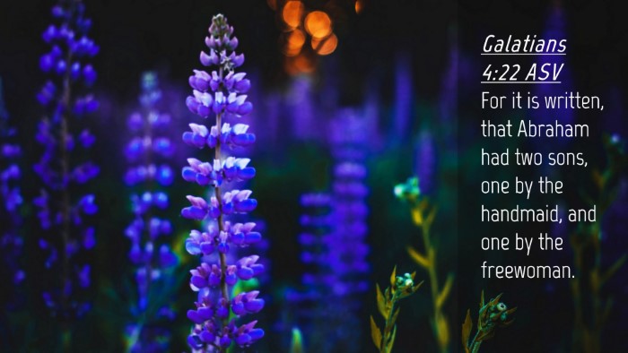 Picture 04 - Galatians 4:22 ASV Desktop Wallpaper - For it is written, that Abraham had two sons, one - Desktop Bible Verse Wallpaper