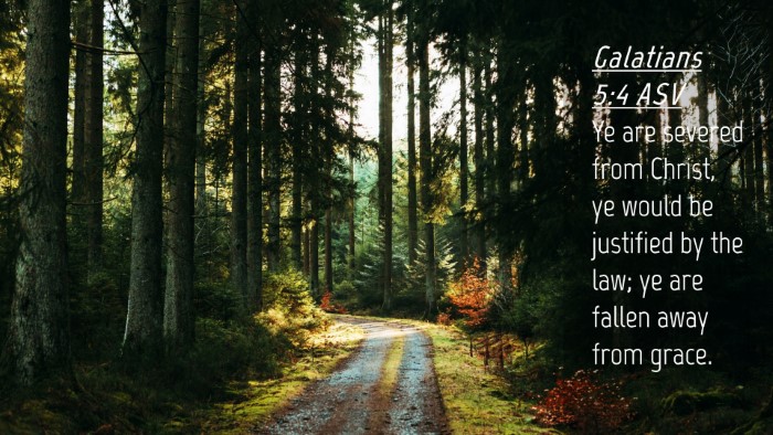 Picture 04 - Galatians 5:4 ASV Desktop Wallpaper - Ye are severed from Christ, ye would be justified - Desktop Bible Verse Wallpaper