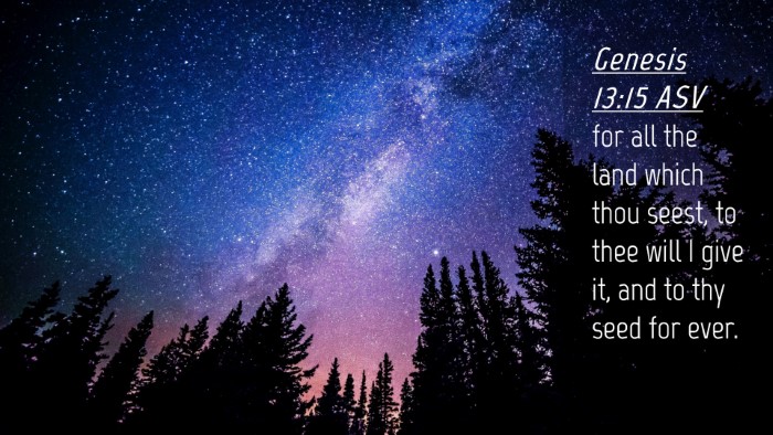 Picture 04 - Genesis 13:15 ASV Desktop Wallpaper - for all the land which thou seest, to thee will I - Desktop Bible Verse Wallpaper