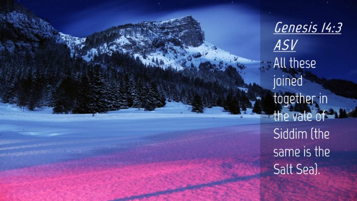 Picture 04 - Genesis 14:3 ASV Desktop Wallpaper - All these joined together in the vale of Siddim - Desktop Bible Verse Wallpaper