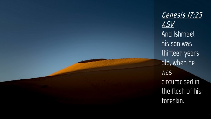 Picture 04 - Genesis 17:25 ASV Desktop Wallpaper - And Ishmael his son was thirteen years old, when - Desktop Bible Verse Wallpaper