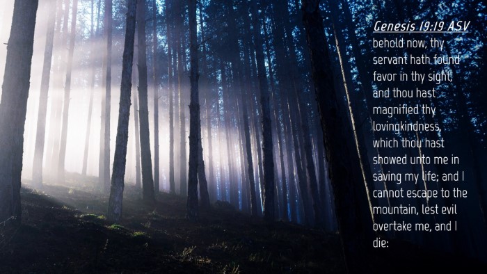 Picture 04 - Genesis 19:19 ASV Desktop Wallpaper - behold now, thy servant hath found favor in thy - Desktop Bible Verse Wallpaper