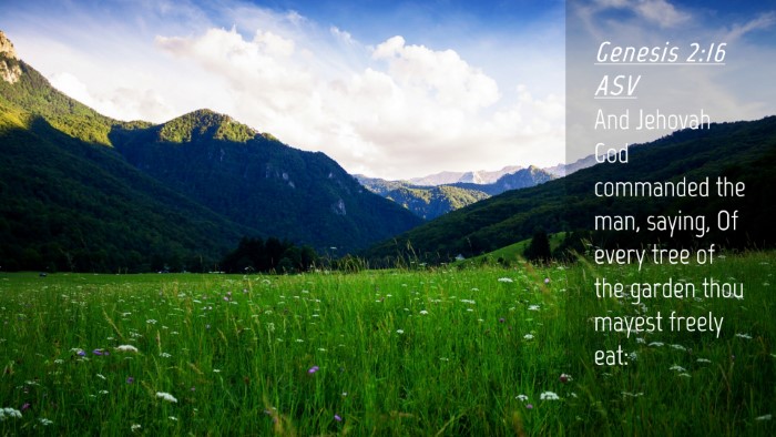Picture 04 - Genesis 2:16 ASV Desktop Wallpaper - And Jehovah God commanded the man, saying, Of - Desktop Bible Verse Wallpaper
