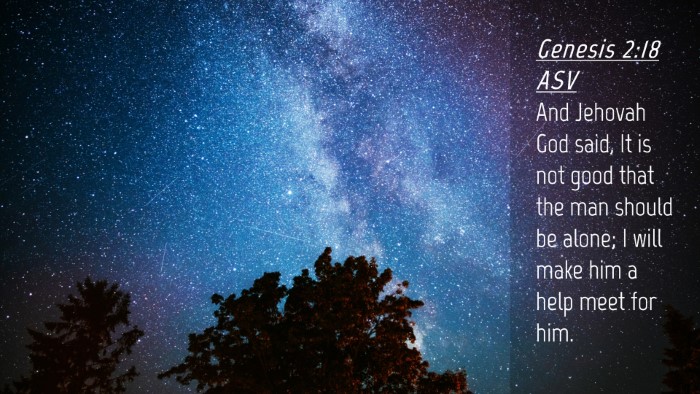 Picture 04 - Genesis 2:18 ASV Desktop Wallpaper - And Jehovah God said, It is not good that the man - Desktop Bible Verse Wallpaper