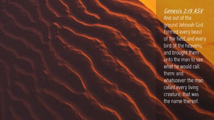 Picture 04 - Genesis 2:19 ASV Desktop Wallpaper - And out of the ground Jehovah God formed every - Desktop Bible Verse Wallpaper