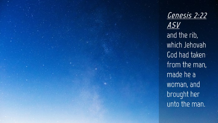 Picture 04 - Genesis 2:22 ASV Desktop Wallpaper - and the rib, which Jehovah God had taken from the - Desktop Bible Verse Wallpaper