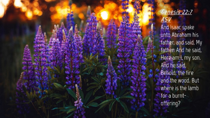 Picture 04 - Genesis 22:7 ASV Desktop Wallpaper - And Isaac spake unto Abraham his father, and - Desktop Bible Verse Wallpaper