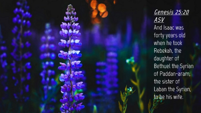 Picture 04 - Genesis 25:20 ASV Desktop Wallpaper - And Isaac was forty years old when he took - Desktop Bible Verse Wallpaper