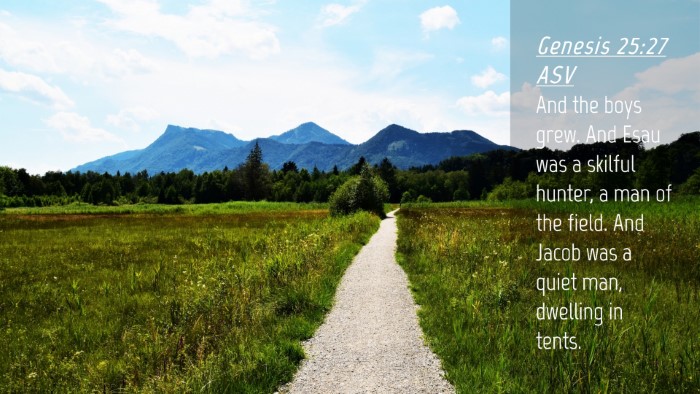 Picture 04 - Genesis 25:27 ASV Desktop Wallpaper - And the boys grew. And Esau was a skilful hunter, - Desktop Bible Verse Wallpaper