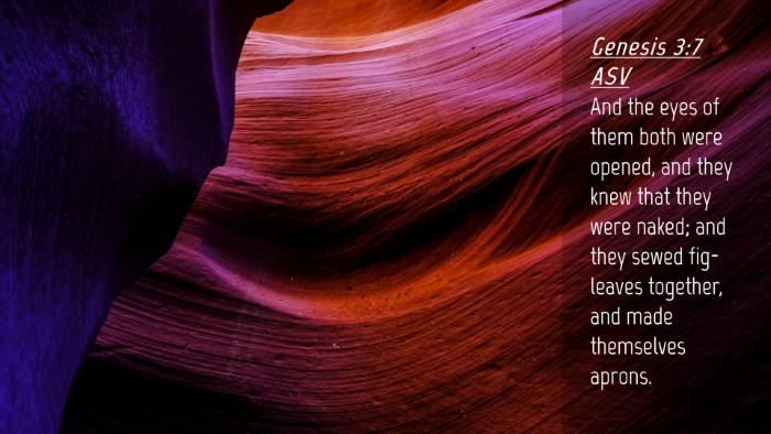 Picture 04 - Genesis 3:7 ASV Desktop Wallpaper - And the eyes of them both were opened, and they - Desktop Bible Verse Wallpaper