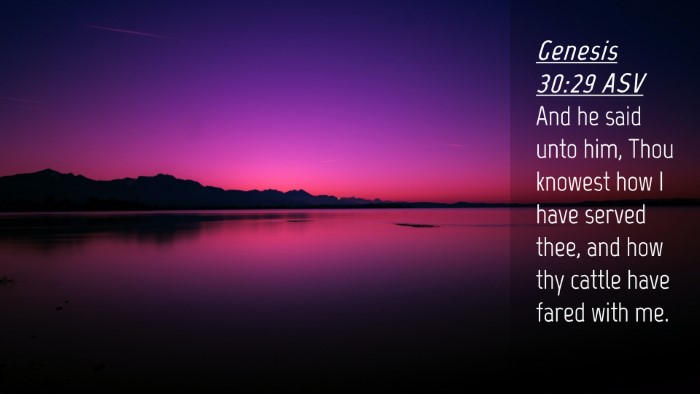 Picture 04 - Genesis 30:29 ASV Desktop Wallpaper - And he said unto him, Thou knowest how I have - Desktop Bible Verse Wallpaper
