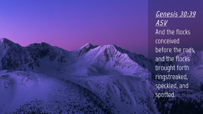 Picture 04 - Genesis 30:39 ASV Desktop Wallpaper - And the flocks conceived before the rods, and the - Desktop Bible Verse Wallpaper