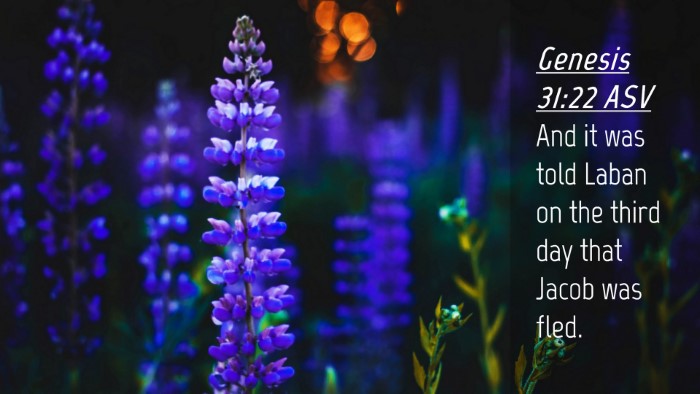 Picture 04 - Genesis 31:22 ASV Desktop Wallpaper - And it was told Laban on the third day that Jacob - Desktop Bible Verse Wallpaper